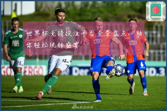 世界杯竞猜投注平台全景盘点，助你轻松玩转盛宴