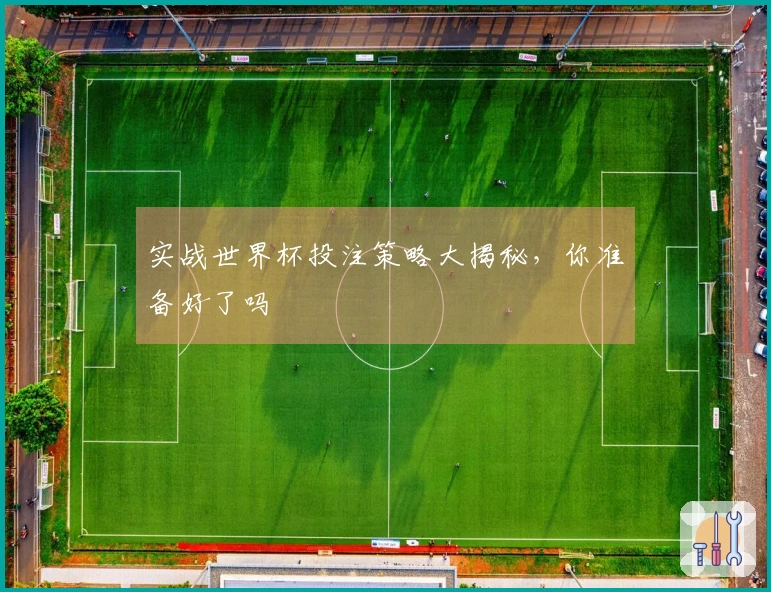 实战世界杯投注策略大揭秘,你准备好了吗