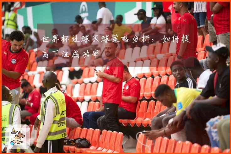 世界杯让球买球策略分析，如何提高下注成功率