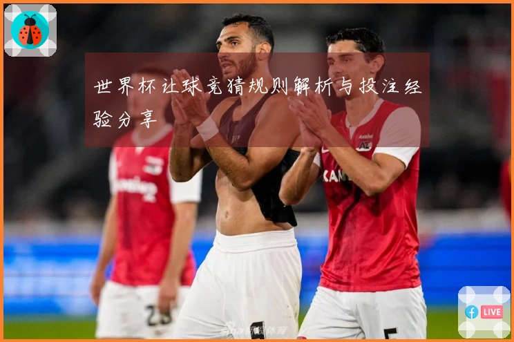 世界杯让球竞猜规则解析与投注经验分享