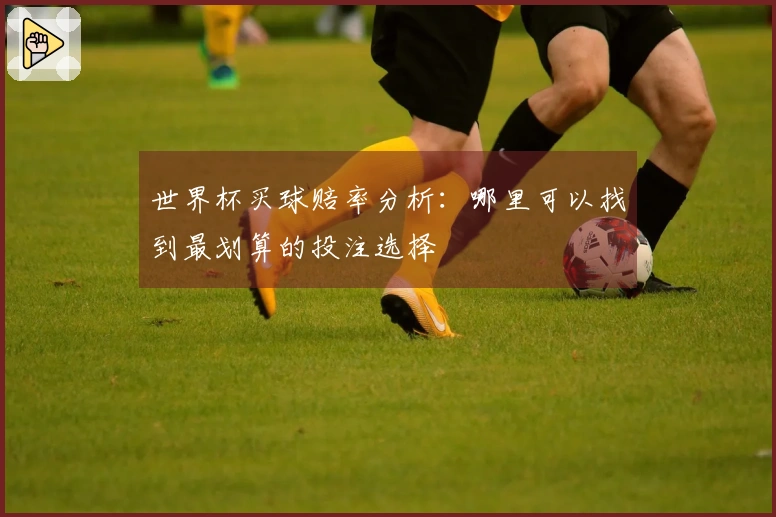 世界杯买球赔率分析：哪里可以找到最划算的投注选择