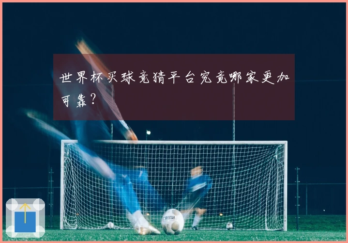 世界杯买球竞猜平台究竟哪家更加可靠？