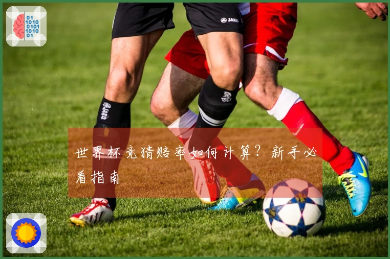 世界杯竞猜赔率如何计算？新手必看指南