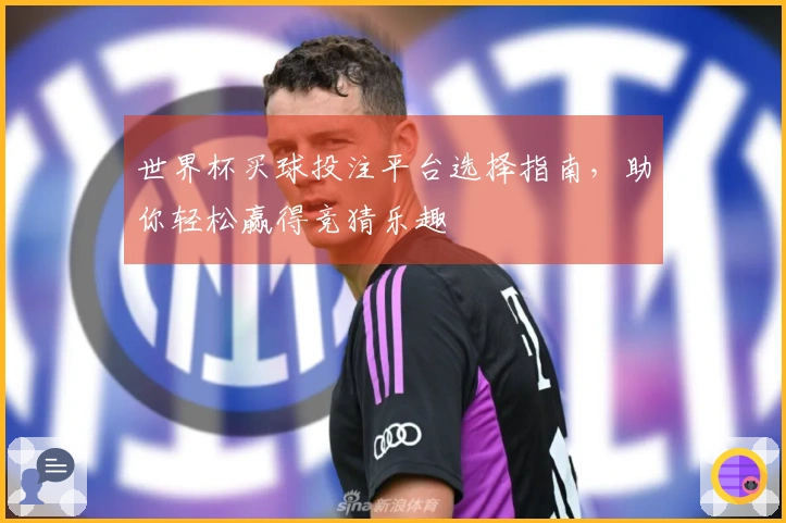 世界杯买球投注平台选择指南,助你轻松赢得竞猜乐趣