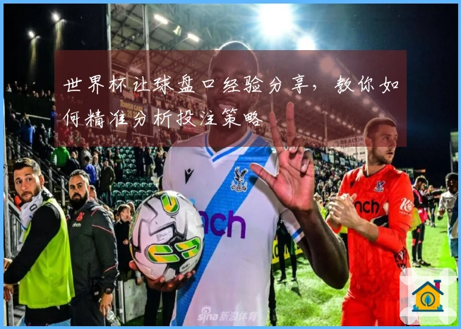 世界杯让球盘口经验分享，教你如何精准分析投注策略