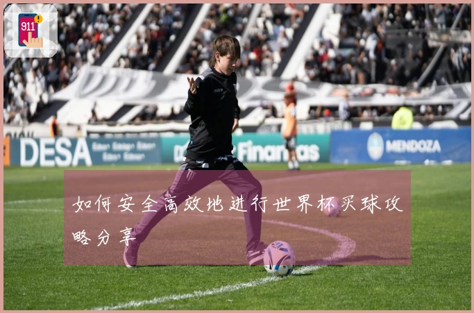如何安全高效地进行世界杯买球攻略分享