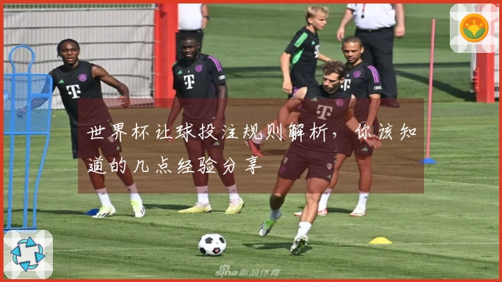 世界杯让球投注规则解析,你该知道的几点经验分享
