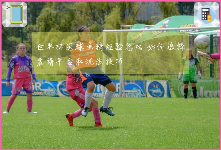 世界杯买球竞猜经验总结 如何选择靠谱平台和玩法技巧