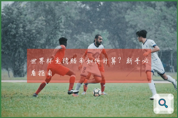 世界杯竞猜赔率如何计算？新手必看指南