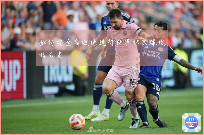 如何安全高效地进行世界杯买球攻略分享