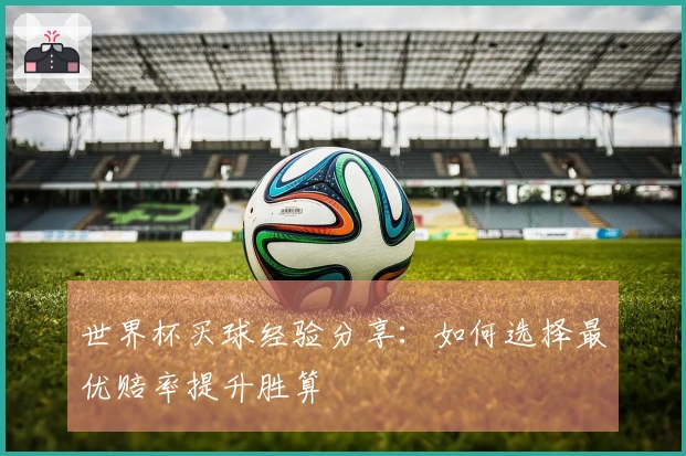 世界杯买球经验分享：如何选择最优赔率提升胜算