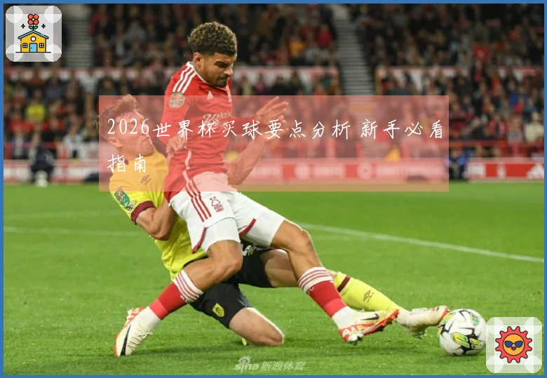 2026世界杯买球要点分析 新手必看指南