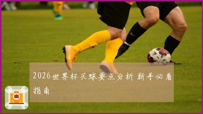 2026世界杯买球要点分析 新手必看指南