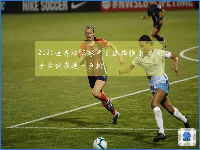 2026世界杯买球平台选择指南 各大平台优劣逐一分析