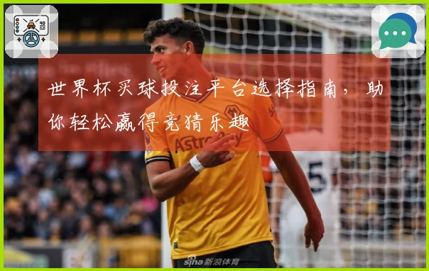世界杯买球投注平台选择指南，助你轻松赢得竞猜乐趣