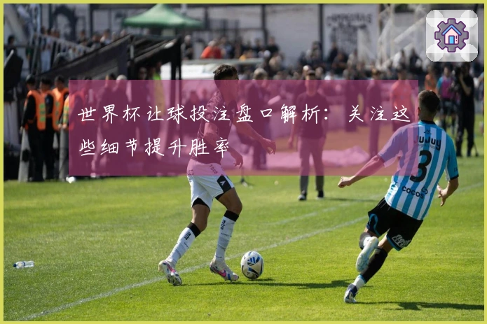 世界杯让球投注盘口解析：关注这些细节提升胜率
