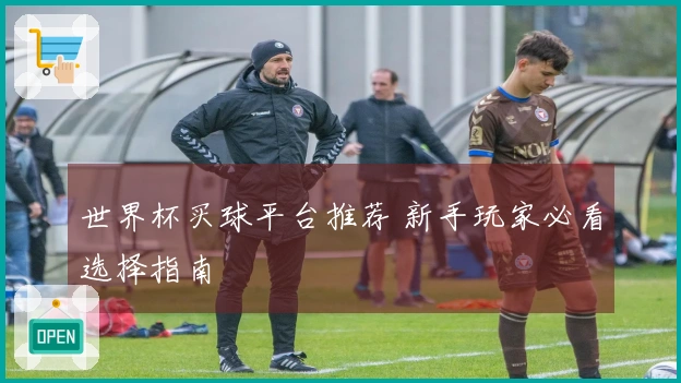 世界杯买球平台推荐 新手玩家必看选择指南