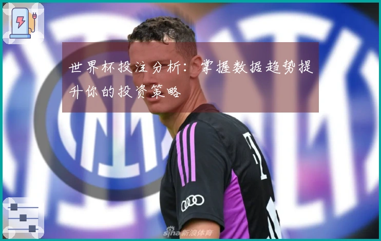 世界杯投注分析：掌握数据趋势提升你的投资策略