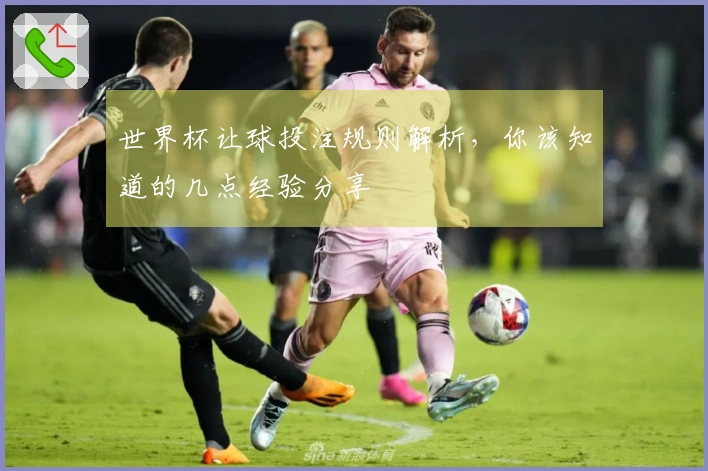 世界杯让球投注规则解析，你该知道的几点经验分享