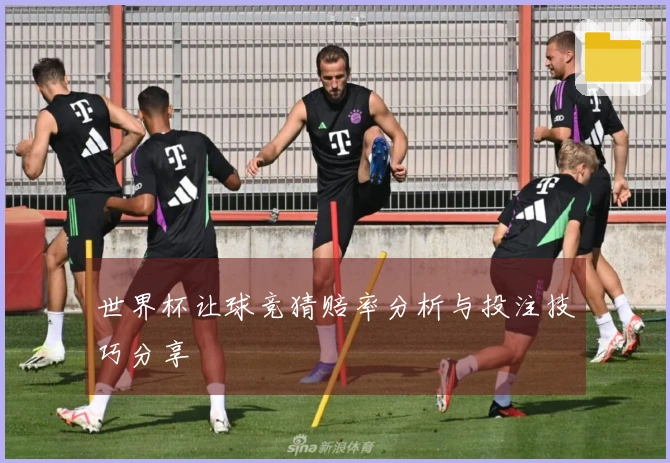 世界杯让球竞猜赔率分析与投注技巧分享