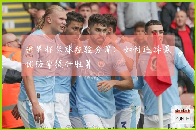 世界杯买球经验分享：如何选择最优赔率提升胜算