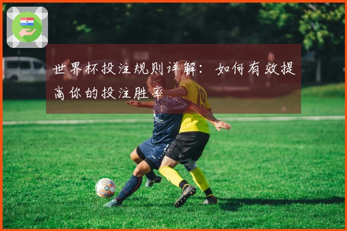 世界杯投注规则详解：如何有效提高你的投注胜率