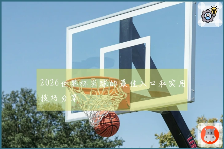 2026世界杯买球的最佳入口和实用技巧分享